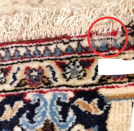 carpet before Mottenbehandlung